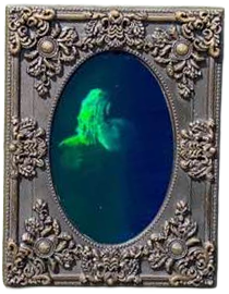 De Vliegende Hollander (EPP 487)