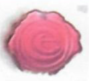 Senior pin (Personeelspin)